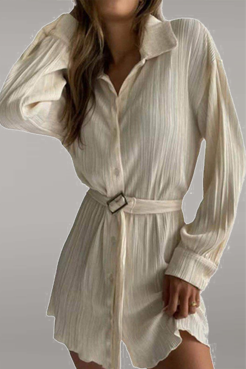 Clistos Patchwork Turndown Collar Shirt Dress - View 23 | Clistos