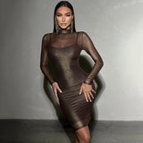 Woman wearing a shimmering brown long-sleeved bodycon dress with a mock neck and sheer overlay.